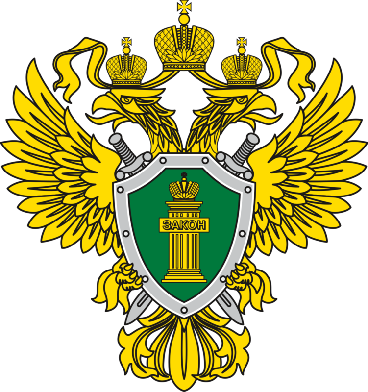 ГЕНЕРАЛЬНАЯ ПРОКУРАТУРА РОССИЙСКОЙ ФЕДЕРАЦИИ